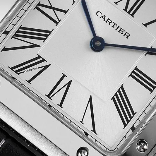 Cartier high-quality watch Cartier Santos SANTOS-DUMONT series WSSA0022 couple watch side view
