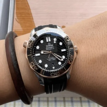 Omega Seamaster 210.22.42.20.01.002
