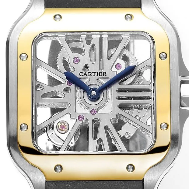 Cartier Santos WHSA0012 premium skeleton