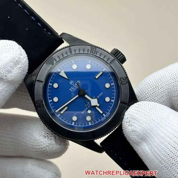 GRTudor Biwan top-tier 1:1high-quality replicablue dialleather strap model M79210caseback live photo