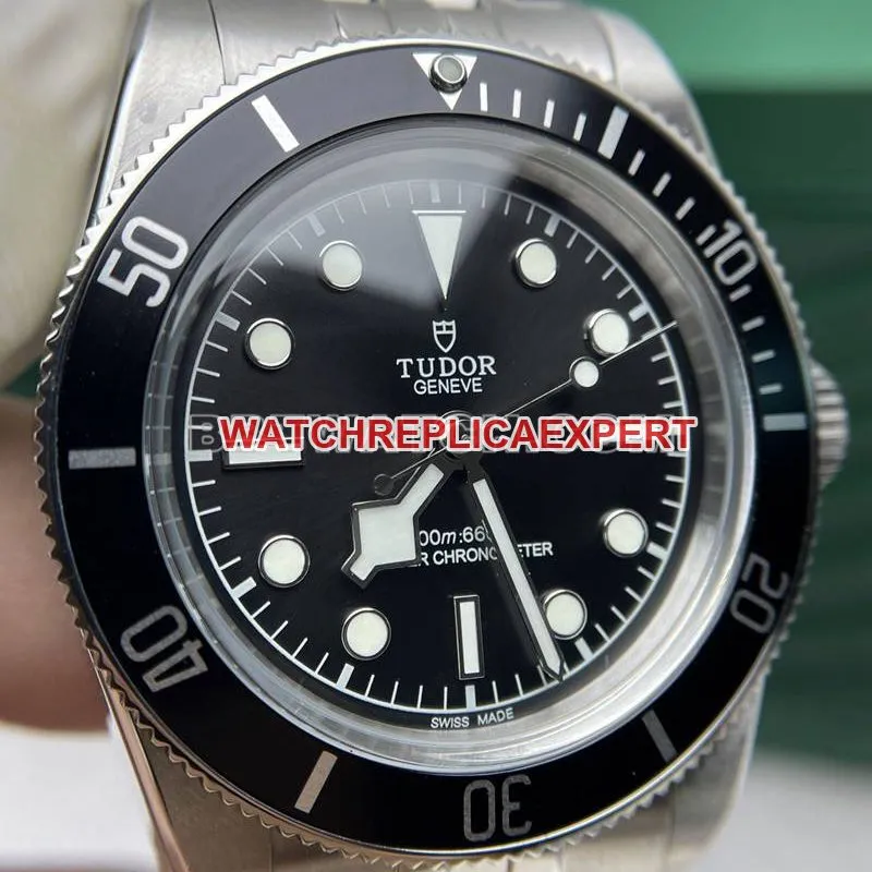 Tudor collectible watch DIF factory Biwan 41mmblack dial mechanical steel bracelet model braceletlive photos