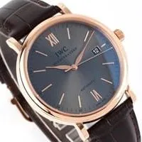 IWC Men's Mechanical Watches: Price