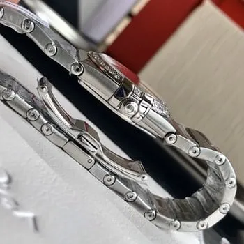 Omega Diefei Watch Authenticity Guide