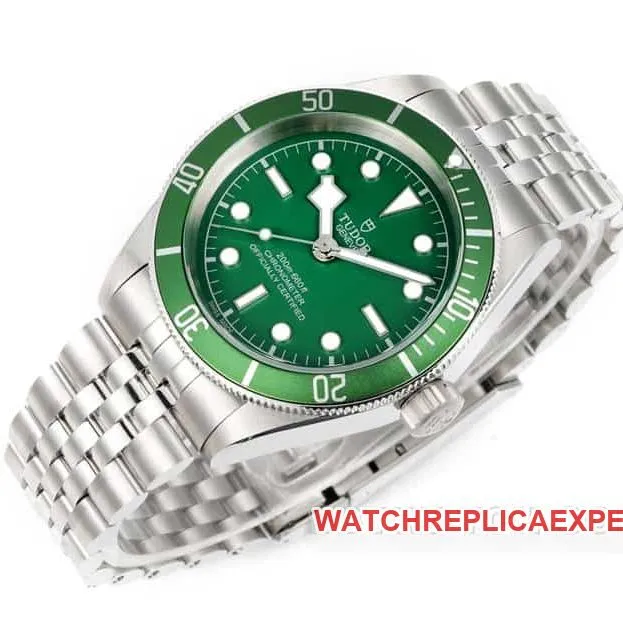 3TTudor Biwan top-tier 1:1high-quality replicagreen dialsteel bracelet model 79230Gfront live photo