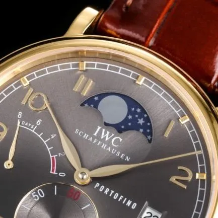 top-tier replicaTWAIWC Portofino series gray plate IW516409 see-through bottom watch movement picture