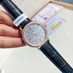 IWC Mechanical Watch Photos and Price