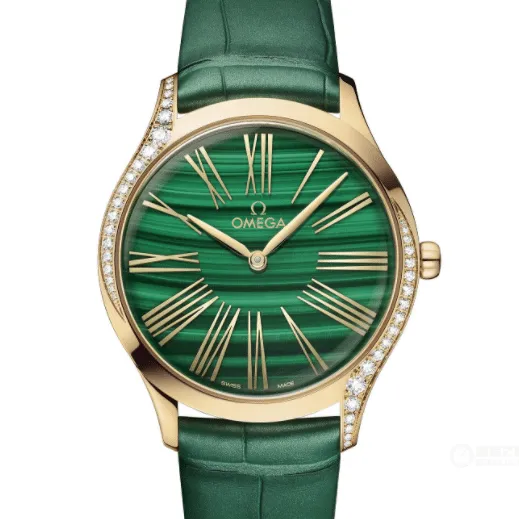 Can the Omega Omega 2022 Seamaster Green