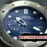 How to check the IWC watch model