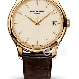 Which Patek Philippe Patek Philippe Watch