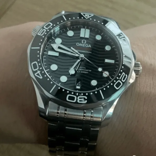 Omega Seamaster 210.30.42.20.01.001
