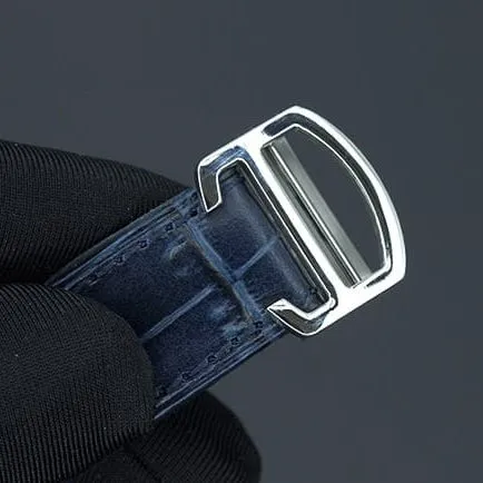BV Factory Cartier Santos Series WSSA0009