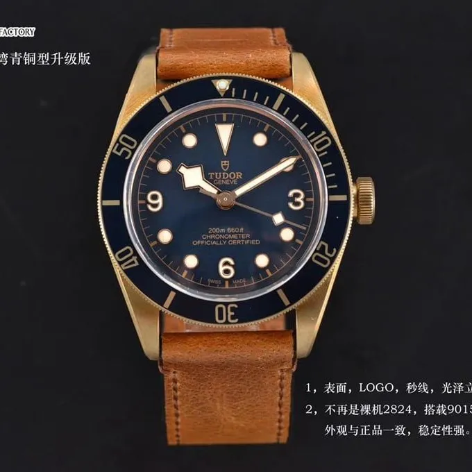watch xfTudorbronze Biwan series comparison Genuine review dialdetail shots