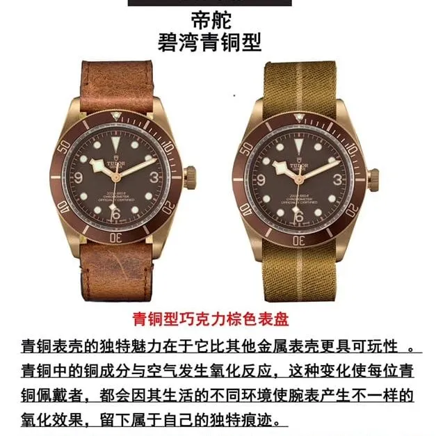 watch xfTudorbronze Biwan series comparison Genuine review back cover picture