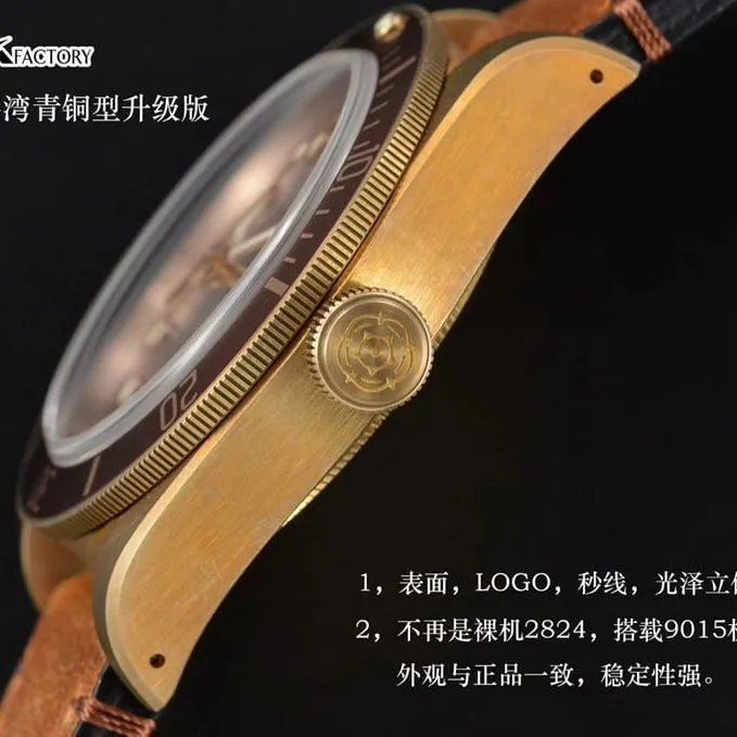 watch xfTudorbronze Biwan series comparison Genuine review side view