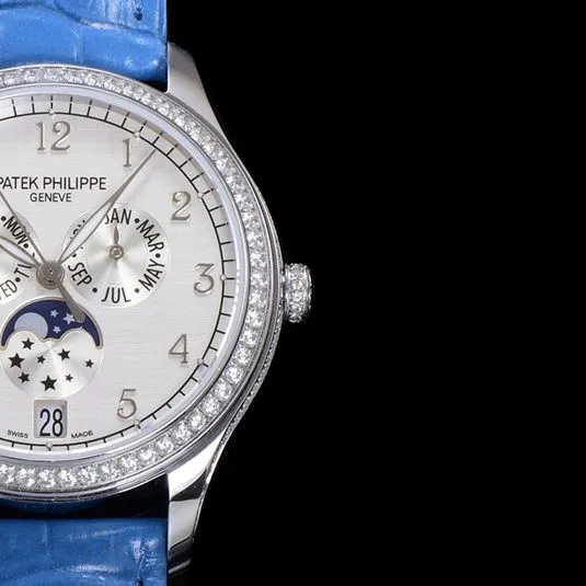 Patek Philippe N1 Complex Function