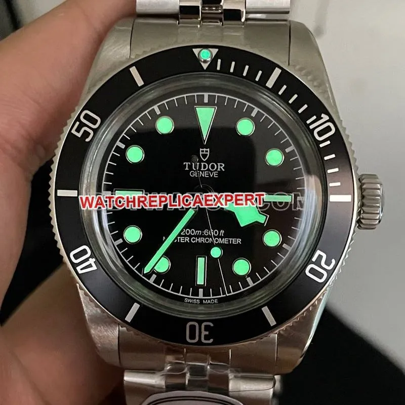 Tudor collectible watch DIF factory Biwan 41mm black dial mechanical steel bracelet front live photo