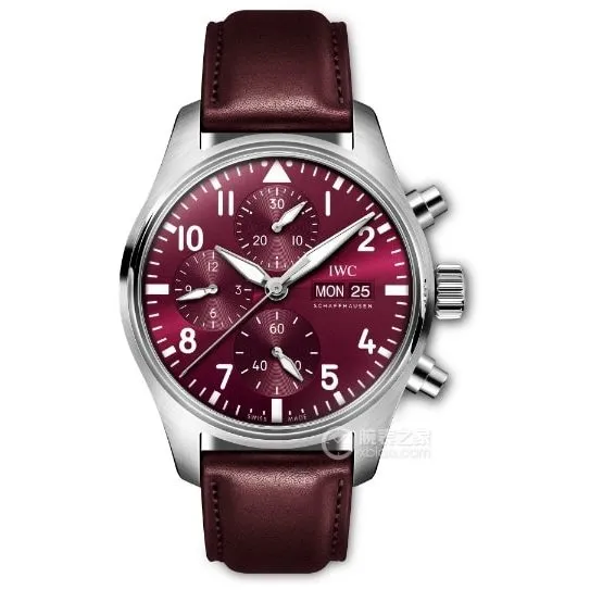 Pilot Universal collectible watches Burgundy Red Plate Belt Model IW388107