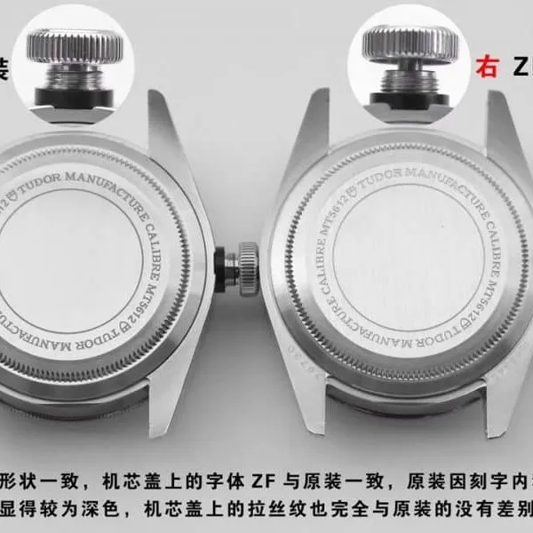 ZF Tudor Enlightenment 79730 Watch Real vs. Fake Review Buckle Diagram