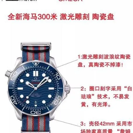 VS Factory collectible watches: Stable