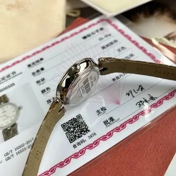 Omega Seamaster Watch Authenticity Query