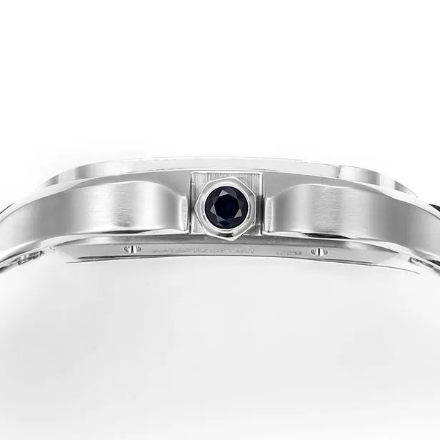 Cartier Santos WHSA0015 premium