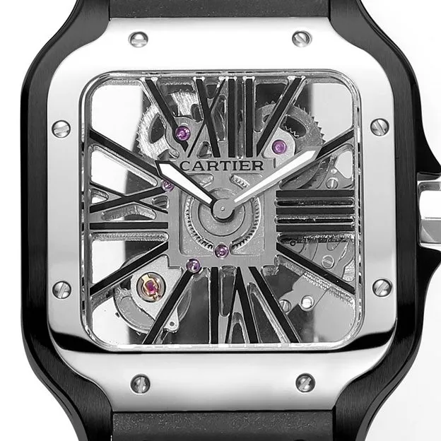 Cartier Santos WHSA0012 premium skeleton
