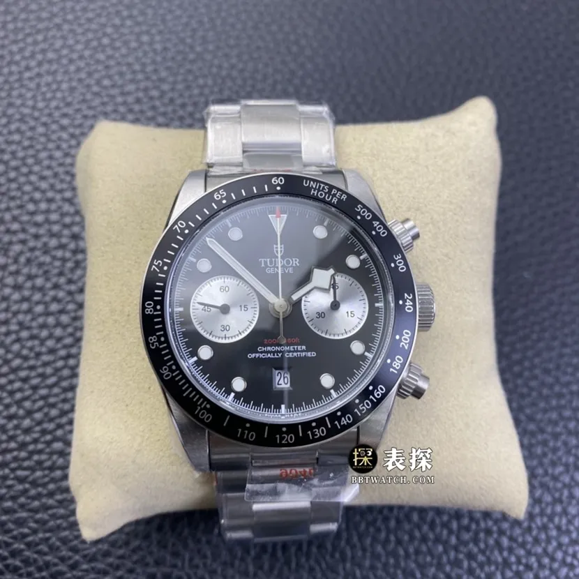 Tudor ceiling watch,zf Biwan watch, front view