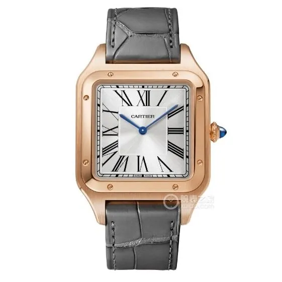 F1 factory Cartier Santos Super A WGSA0032