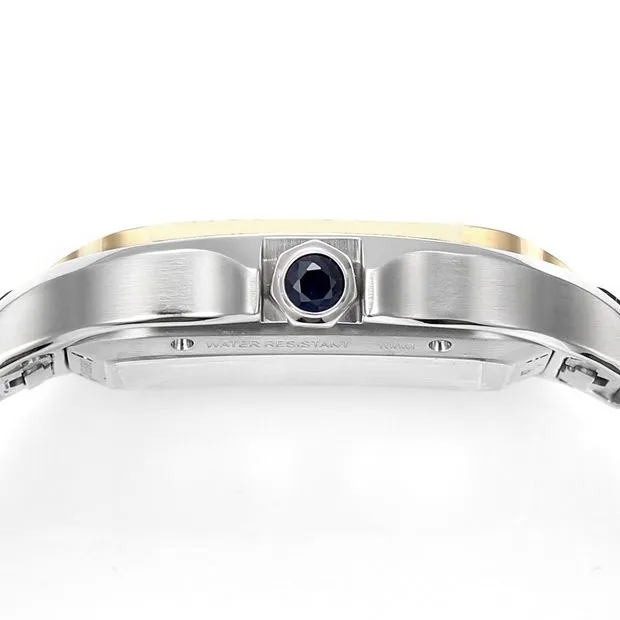 Cartier Santos WHSA0012 premium skeleton