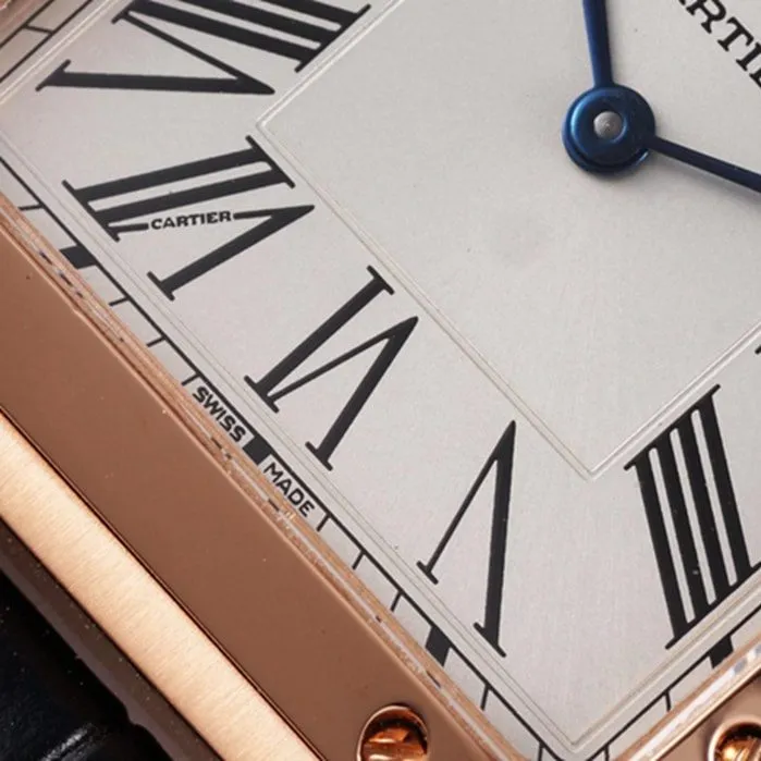 New masterpiece CartierCartier Santos couple watch side view