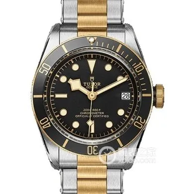 Tudortop-tier watch, ZF Biwan watch, front comparison picture