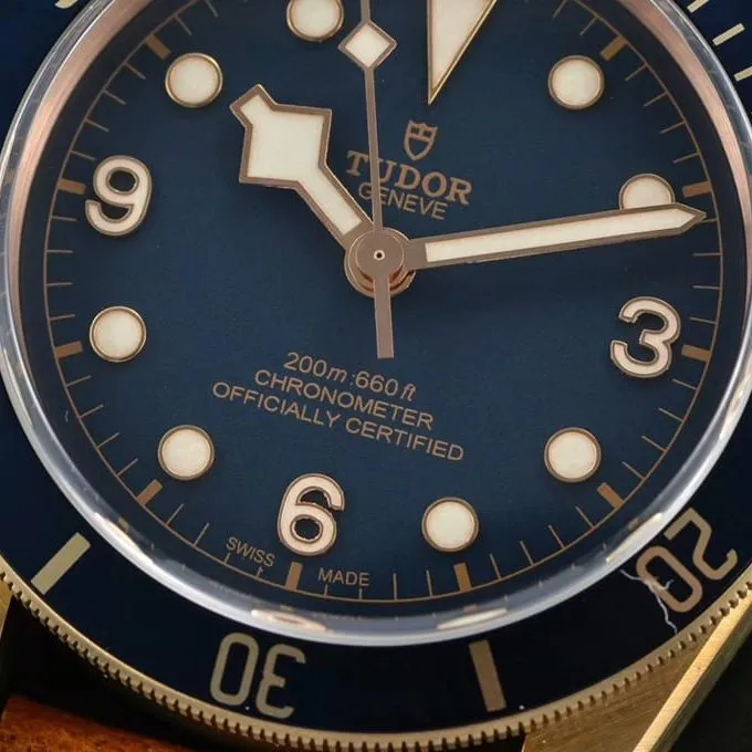 watch xfTudorbronze Biwan series comparison genuine review dial front view