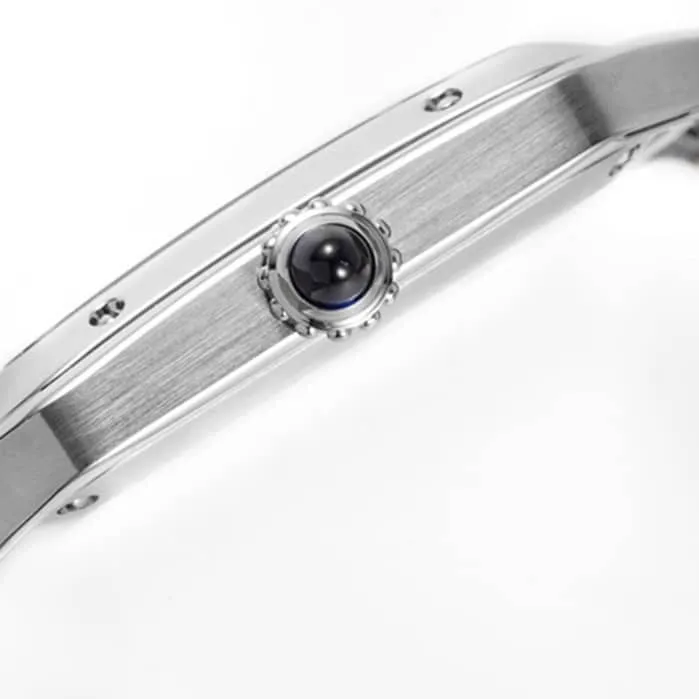 New masterpiece CartierCartier Santos couple watch front view