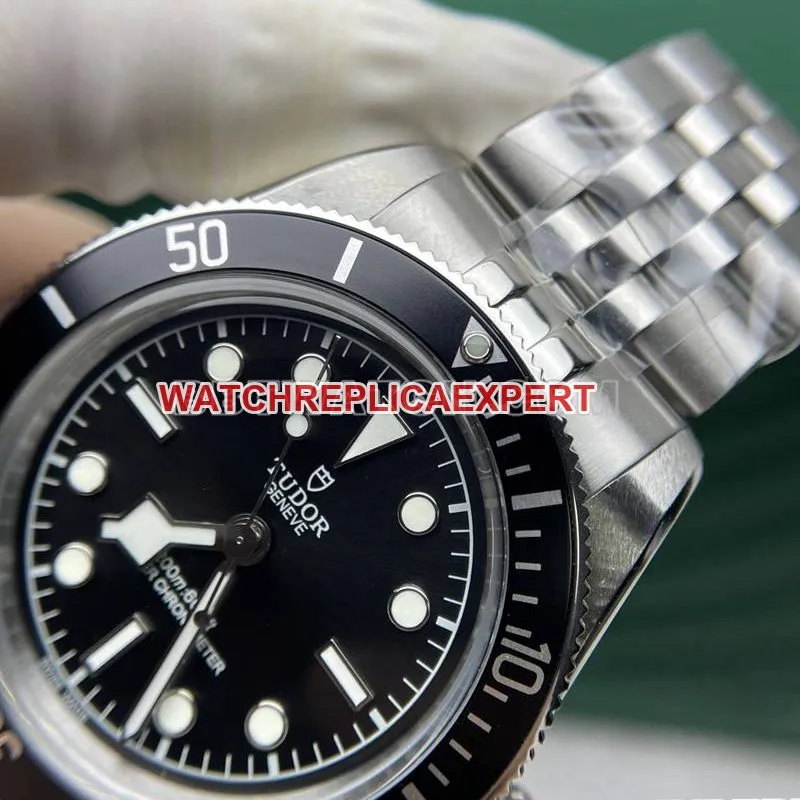 Tudor collectible watch DIF factory Biwan 41mm black dial mechanical steel bracelet caseback live photo