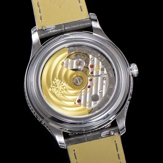N1Patek Philippe complex function