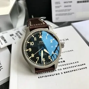 Wanguo Portuguese iw371446 used price