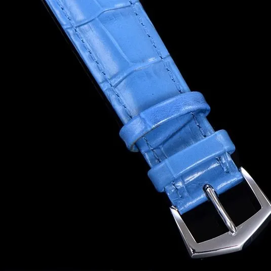 Patek Philippe N1 Complex Function