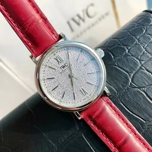 IWC diving series watch counter pricing