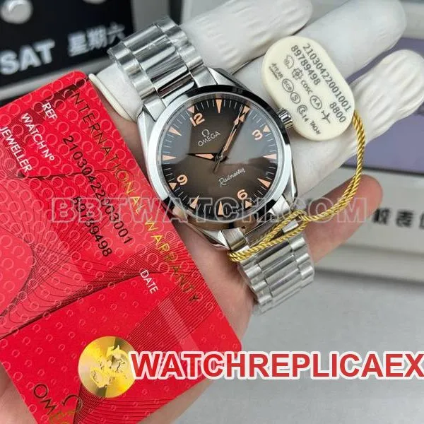 Omega collectible watch Seamaster brown dial 38mm small seconds steel bracelet model front live photo