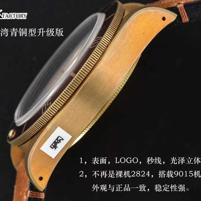 watch xfTudorbronze Biwan series comparison genuine evaluation dialume picture